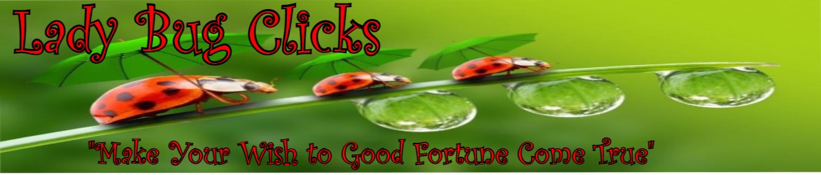 LadyBug Clicks Header 