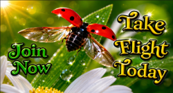 LadyBugClicks Join Button